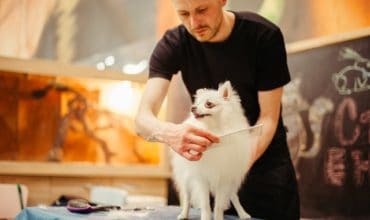 10 Ways To Attract And Retain New Customers For Your Dog Grooming Business