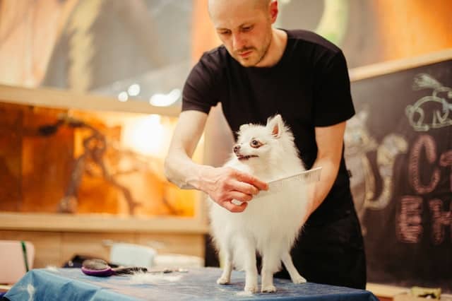 10 Ways To Attract Retain New Customers For Dog Grooming